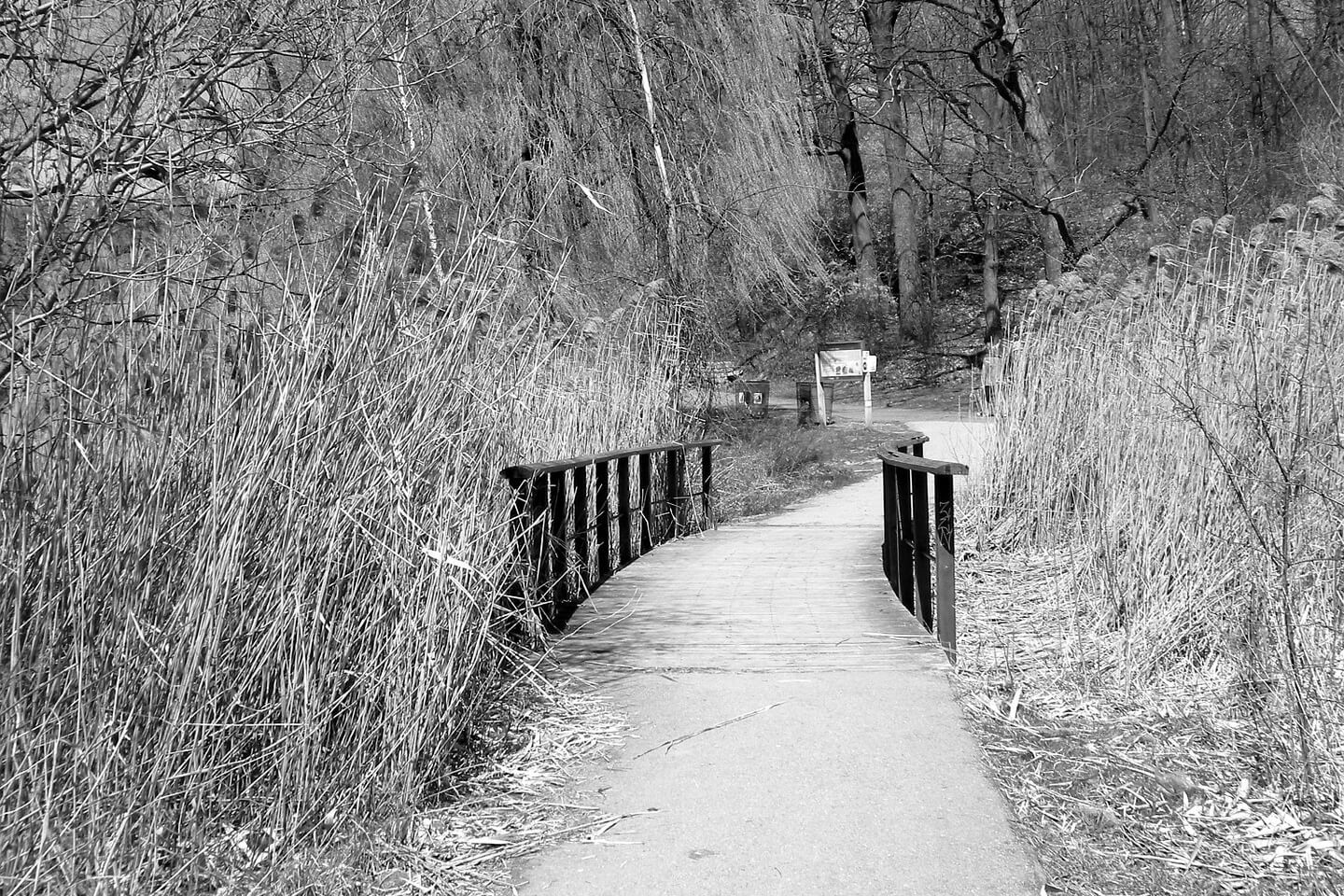 path organisaatiokulttuuri - yrityskulttuuri