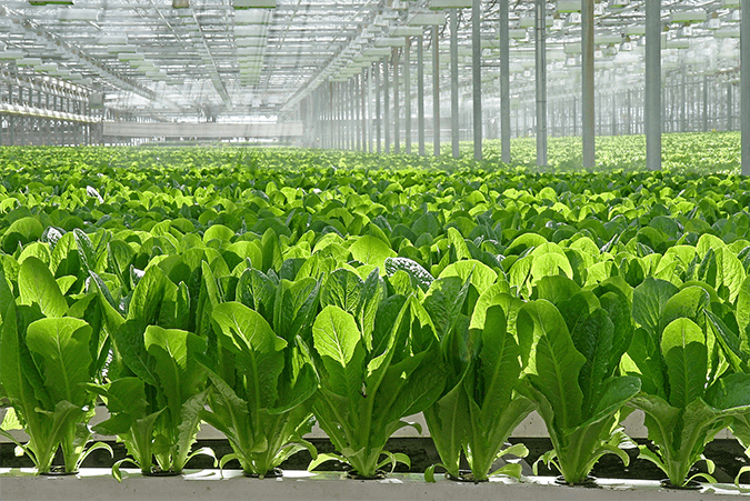 Famifarm1